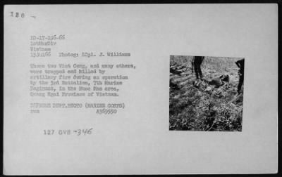 Thumbnail for Vietnamese Casualties > Vietnamese Casualties - 1966