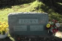Brown Darwin Rose