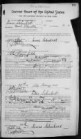 Petition for Naturalization (1906)