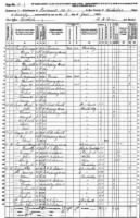 Sammons 1870 Jun 18 Nicholas KY Census.jpg