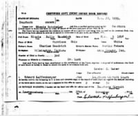 Minnie Goodrich's Birth Record