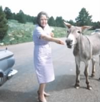 Minnie & the Donkeys c 1961