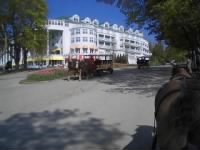 Thumbnail for carriage tour 2.jpg