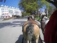 Thumbnail for carriage tour.jpg