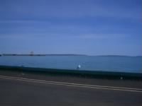 Thumbnail for Seagull @ mackinac city.jpg