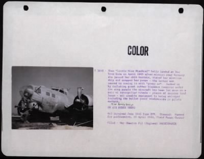 General > When 'Little Miss' Belly Landed At Her Home Base In April 1945 After Mission Over Germany, She Jammed Her Chin Turrets, Ripped Her Aluminum Skin And Wrapped Up Her Props - The Latter Was Caused By Coming In The 'Power On'. Jacked Up By Inflating Great Rub