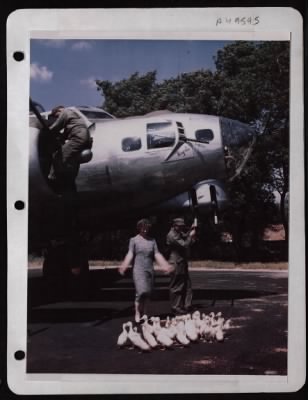 ␀ > Msgt. J.P. Wellmaker Cleans 50 Cal. Guns On A Boeing B-17 As An English Farm Wife Herds Her Ducks Away From The Plane. England.