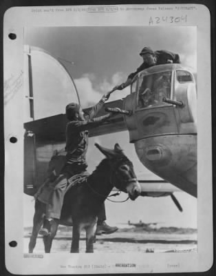 Consolidated > The donkey delivers mail for U.S. soldiers in Italy; the bomber delivers explosive to Axis Europe for the Mediterranean Allied Air Forces. Astride the steed is Cpl. George L. Teague, 416 S.W. 31st Oklahoma City, Oklahoma, mail clerk in a heavy