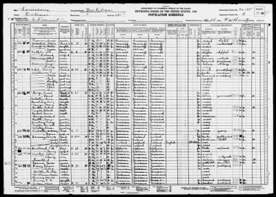 Thumbnail for NEW ORLEANS CITY, WARD 3 > 36-45