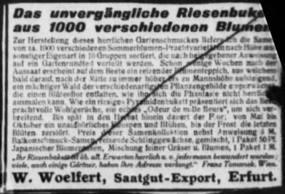 Old German Files, 1909-21 > Various (#151890)