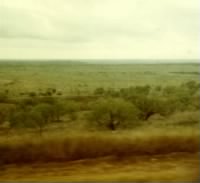 View out bus window just outside of Abilene, Texas, November 7, 1967