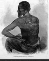 Sketch of scars on the back on Gordon, an African American who escaped to the Union Army.jpg
