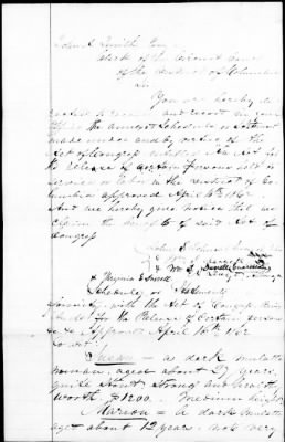Emancipation Papers > Johns, John L (Owner)