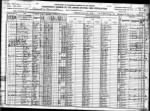 1920 Census Desoto County, FL 