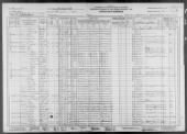 US, Census - Federal, 1930 record example