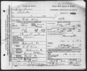 Texas Death Certificates record example