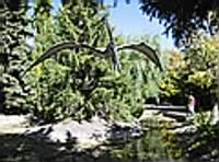 Dinosaur Garden2.jpg
