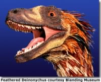 feathered-dino,  Blanding Museum.jpg