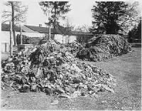 clothes stacked at Dachau.gif