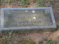 John Hyler's Grave