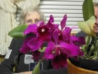 Ida Rose's amazing orchids