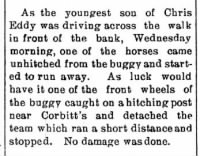 1904 April 21 - Clifton Eddy - buggy accident