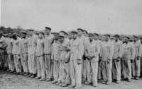 Buchenwald1.jpg