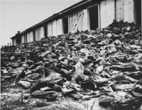 Majdanek7.jpg