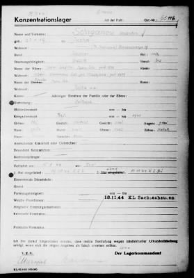 Camp Records - Inmate Cards > Records on Prisoners, Sche-Schu