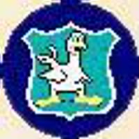 455th Bomb Squadron Emblem  YU