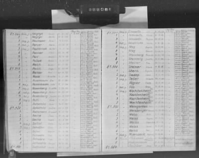 Thumbnail for Flossenbürg Concentration Camp > Handwritten lists of inmates