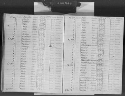 Flossenbürg Concentration Camp > Handwritten lists of inmates