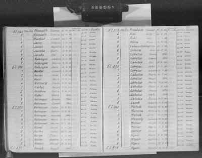 Flossenbürg Concentration Camp > Handwritten lists of inmates