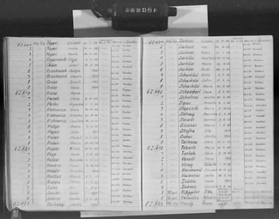 Flossenbürg Concentration Camp > Handwritten lists of inmates