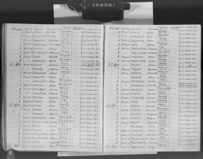 Flossenbürg Concentration Camp > Handwritten lists of inmates