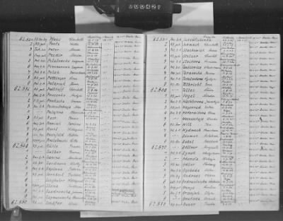 Flossenbürg Concentration Camp > Handwritten lists of inmates