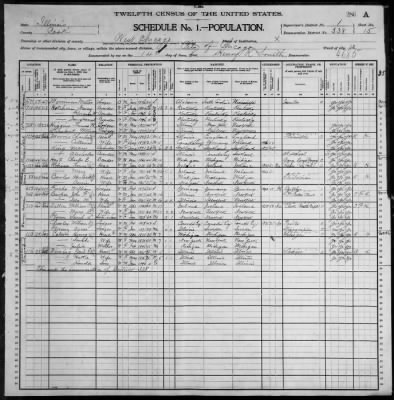 Thumbnail for City of Chicago, Twelfth Ward; 10th Pct > 338