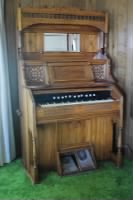 Charlotte's Organ