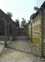 Auschwitz_2.JPG
