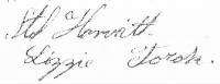 Horvatt_Stephen Torok_Elizabeth_Marriage_Lic 1901 Signatures.tif