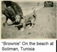 Lt Bob Spikes and his beloved dog, "Brownie" at the Beach in North Africa. 1943