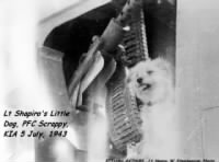 Lt Shapiro's Little Dog "PFC Scrappy" KIA / 5 July'43
