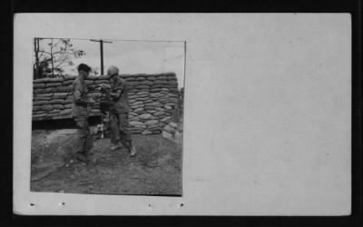 Companies B and E / 3rd Battalion / 39th Infantry / 9th Infantry Division > CC43561