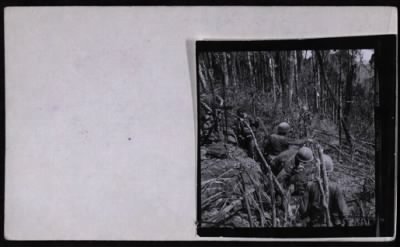 Thumbnail for 173rd Airborne Brigade 1967 > CC44250