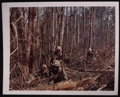 Thumbnail for 173rd Airborne Brigade 1967 > CC44243