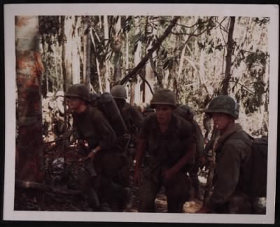 Thumbnail for 173rd Airborne Brigade 1967 > CC44237