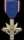 Distinguished Service Medal.gif
