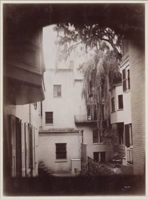 Thumbnail for Trustees' McKim Construction Photos > Court yard with willow tree.