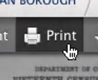 Viewer Print Button