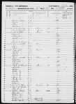 Clements, Peyton C, 1850 census, FamilySearch, 4187296_179.jpg